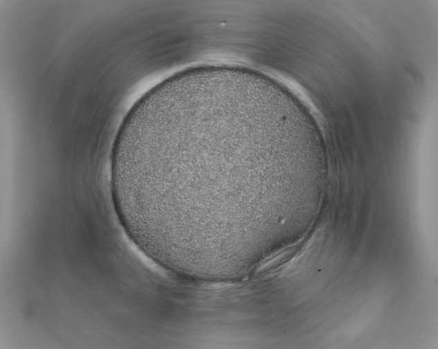 X0000112381335200909031944