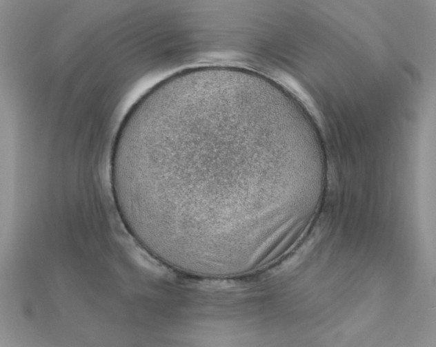 X0000112381336200909031944