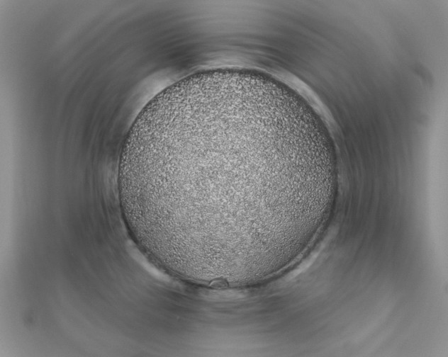 X0000112381337200909031944