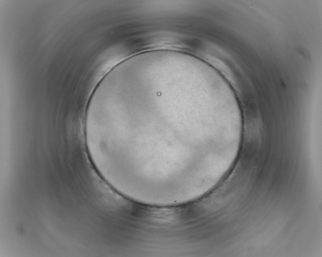 X0000112381338200909031944