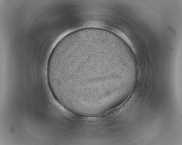 X0000112381339200909031944