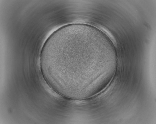 X0000112381340200909031944