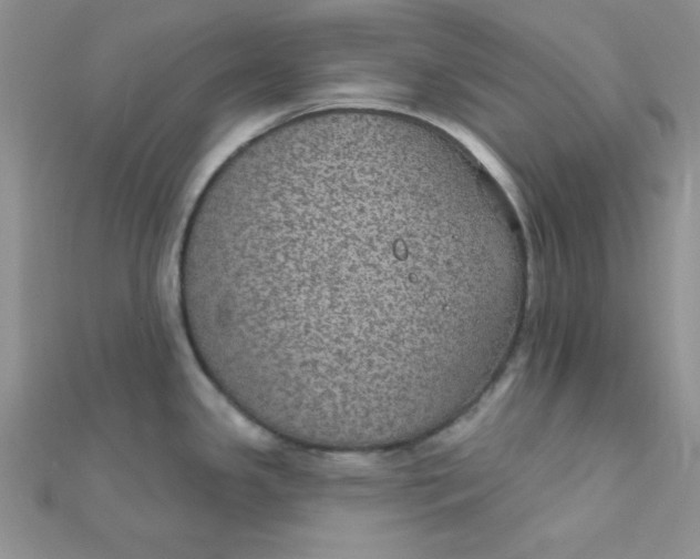 X0000112381341200909031944