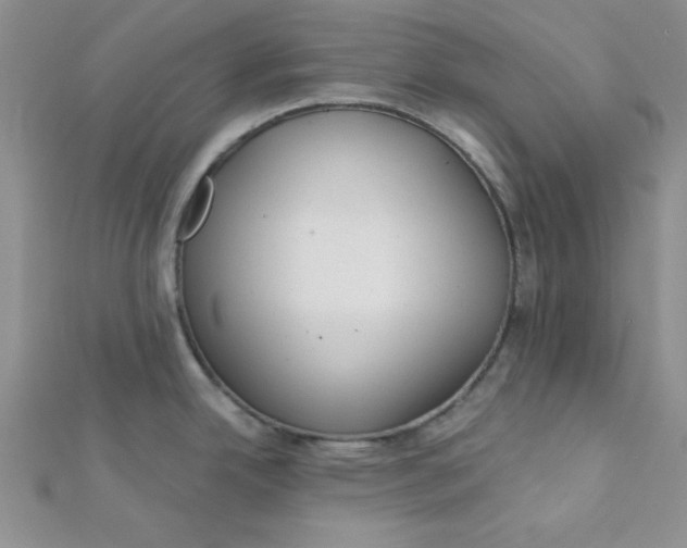 X0000112381342200909031944