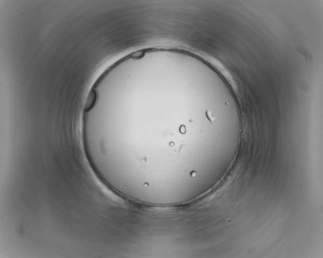 X0000112381343200909031944