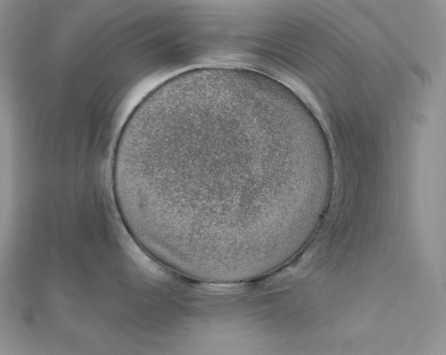 X0000112381344200909031944