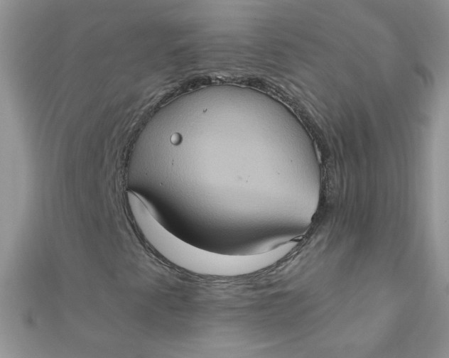 X0000112381345200909031944