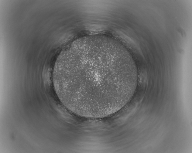 X0000112381346200909031944