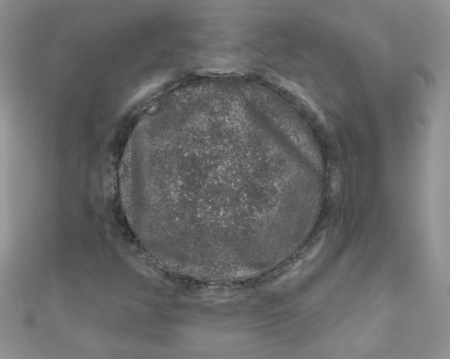 X0000112381350200909031943