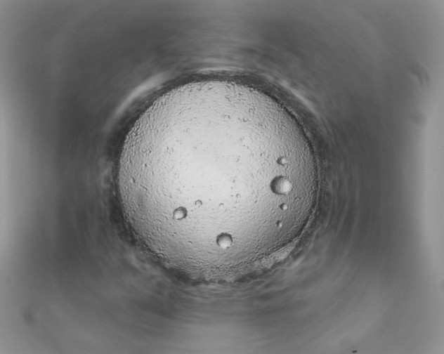 X0000112381351200909031943