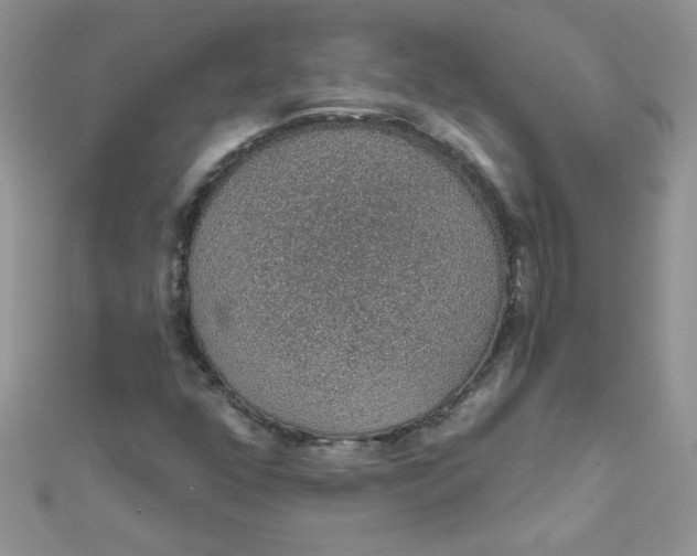 X0000112381352200909031943