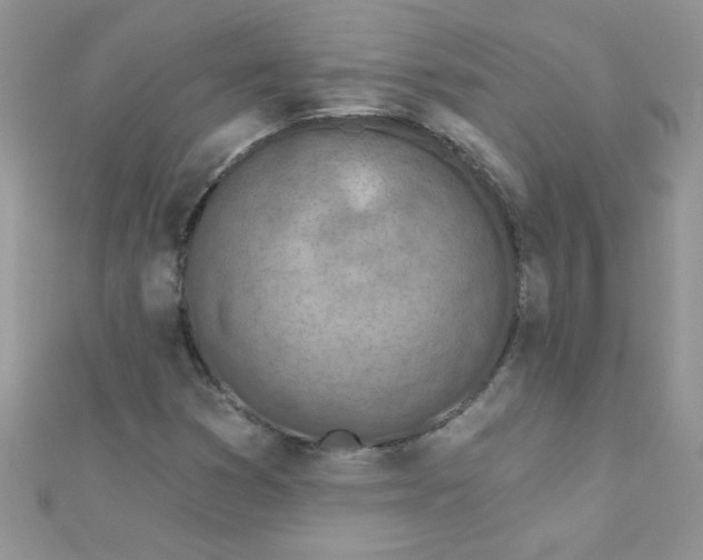 X0000112381353200909031943