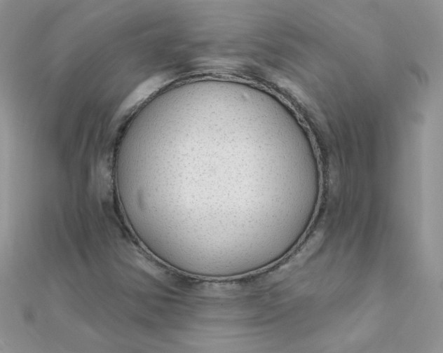 X0000112381354200909031943