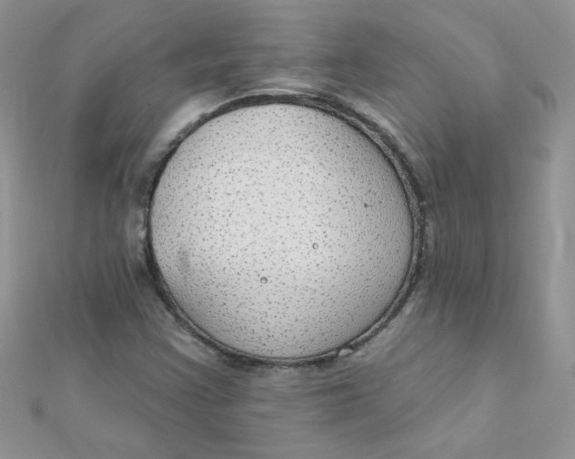 X0000112381355200909031943