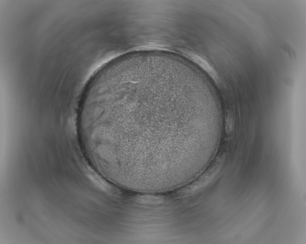 X0000112381356200909031943