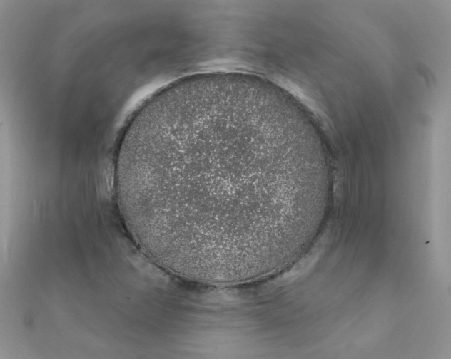 X0000112381358200909031943