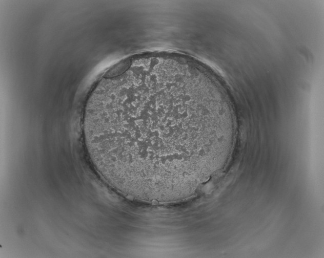 X0000112381359200909031943