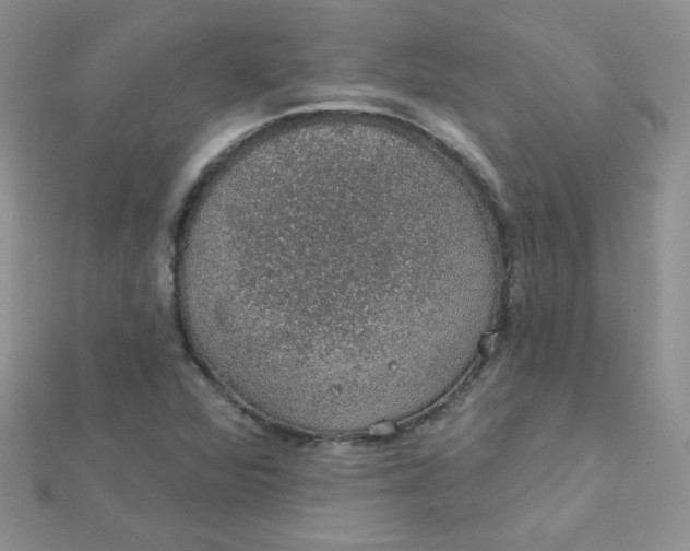 X0000112381360200909031943