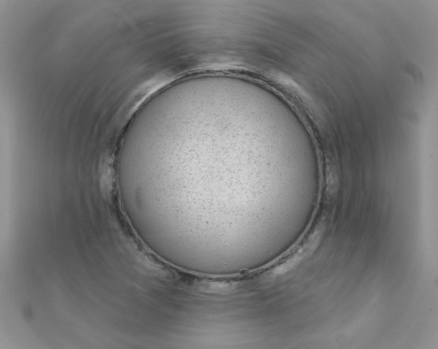 X0000112381361200909031943