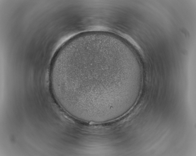 X0000112381364200909031943