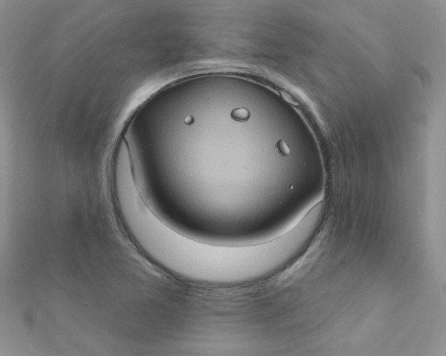 X0000112381365200909031943