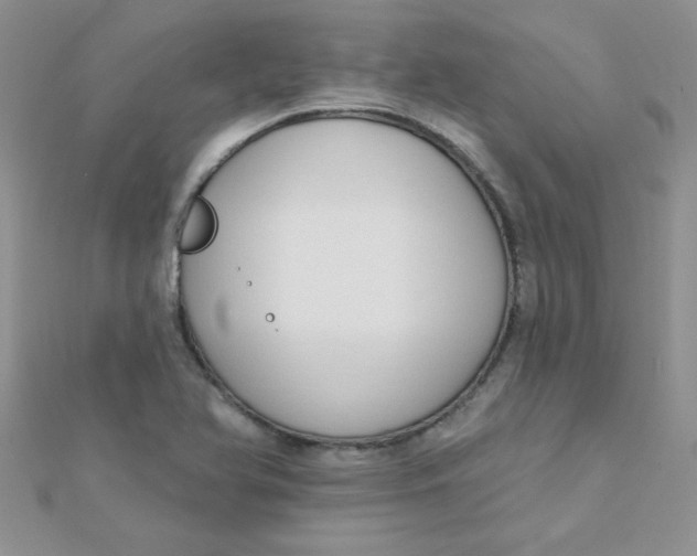 X0000112381366200909031943