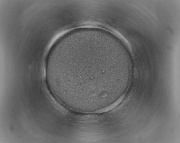 X0000112381368200909031943