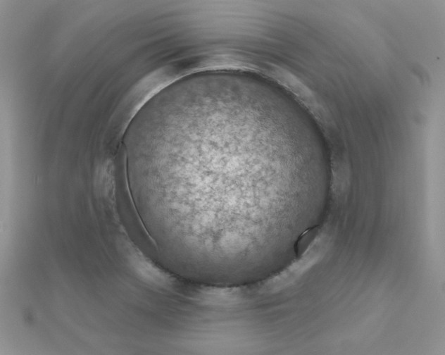 X0000112381369200909031943