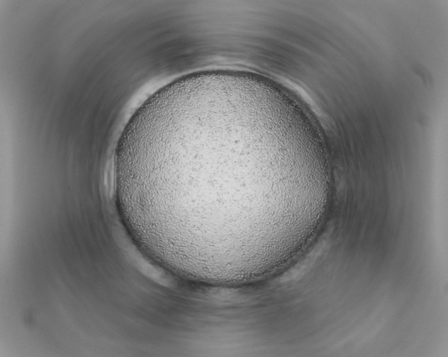 X0000112381371200909031943