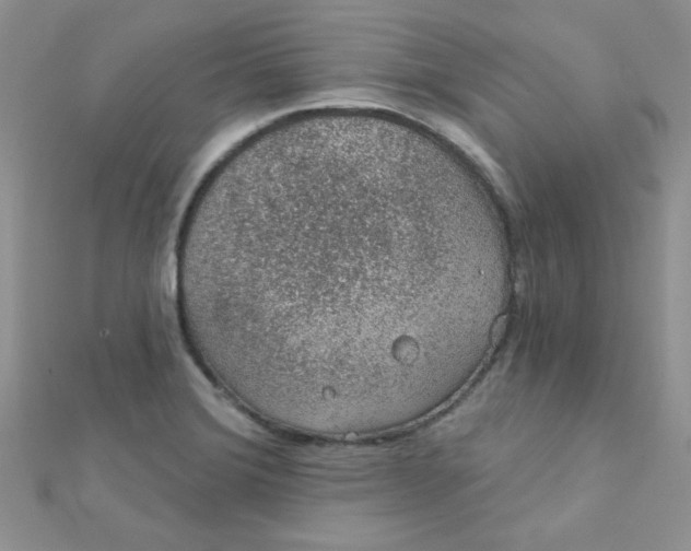 X0000112381372200909031943