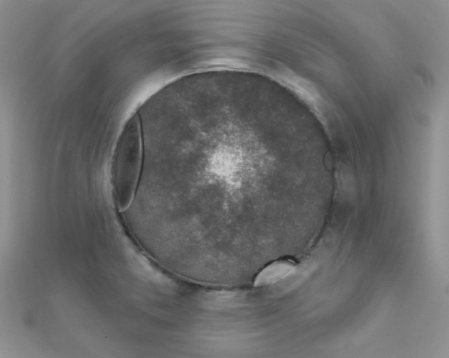 X0000112381373200909031943