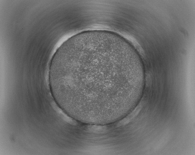 X0000112381374200909031943