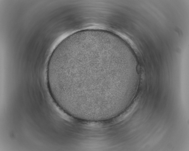 X0000112381375200909031943