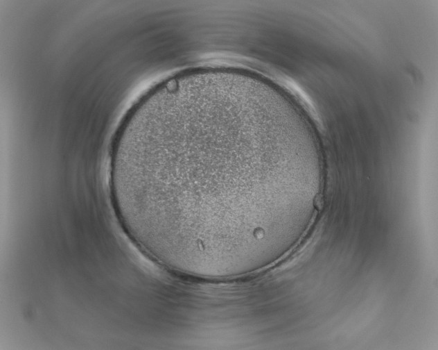 X0000112381376200909031943