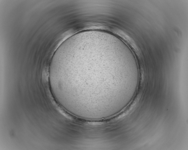 X0000112381377200909031943