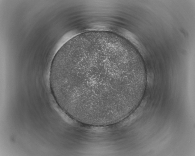 X0000112381378200909031943