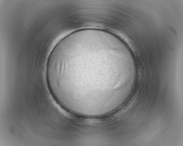 X0000112381379200909031943