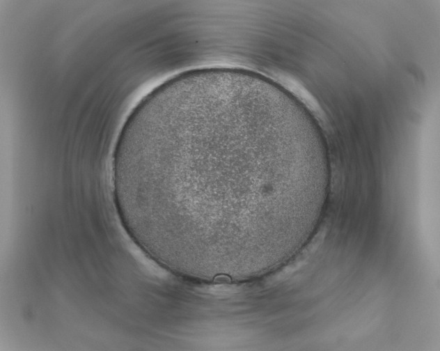 X0000112381380200909031943