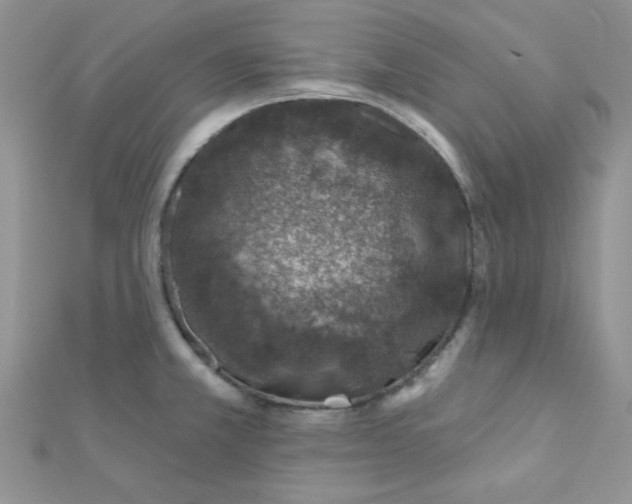 X0000112381381200909031943