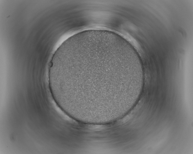 X0000112381382200909031943