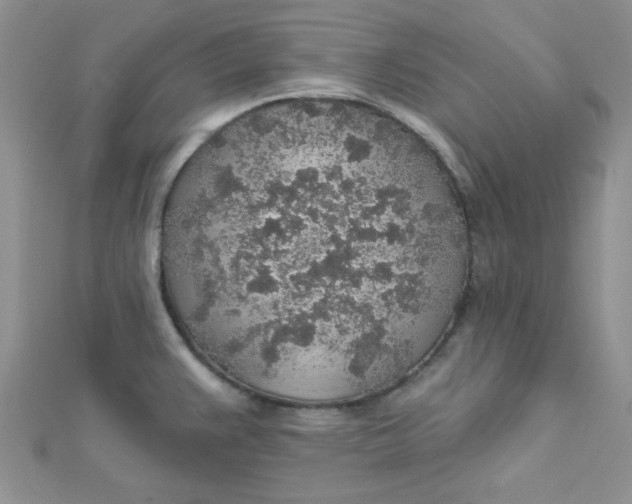 X0000112381383200909031943