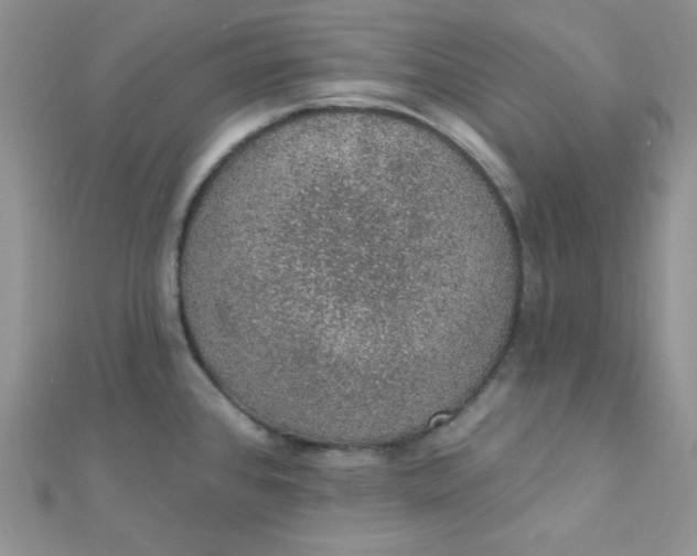 X0000112381384200909031943