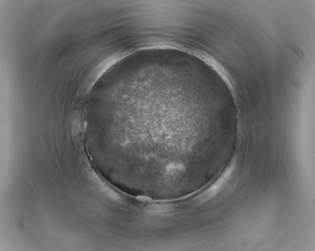 X0000112381385200909031943