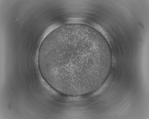 X0000112381386200909031943