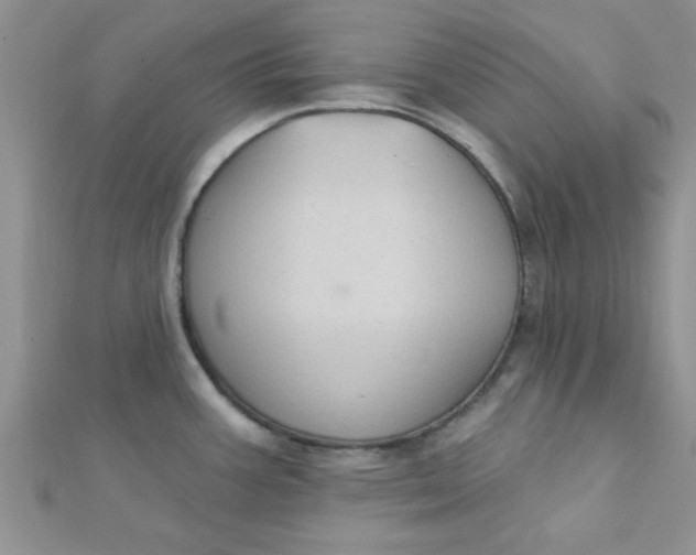 X0000112381387200909031943