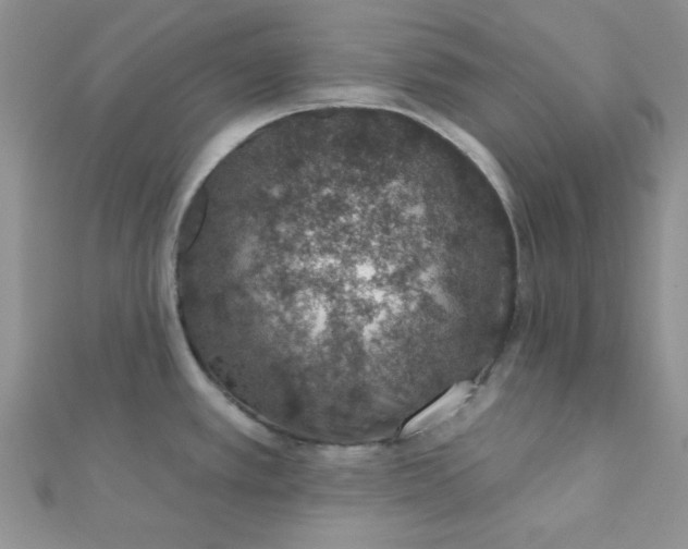 X0000112381389200909031943