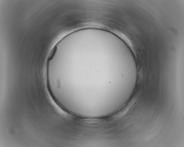 X0000112381391200909031943