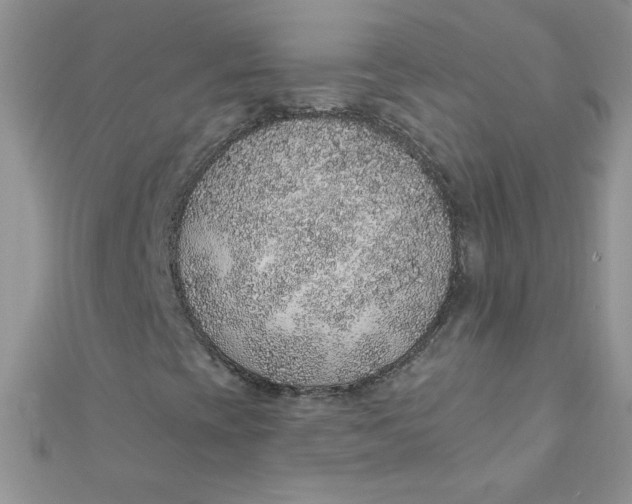 X0000112381393200909031942