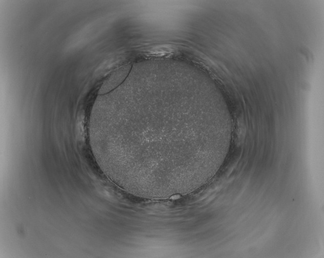 X0000112381394200909031942