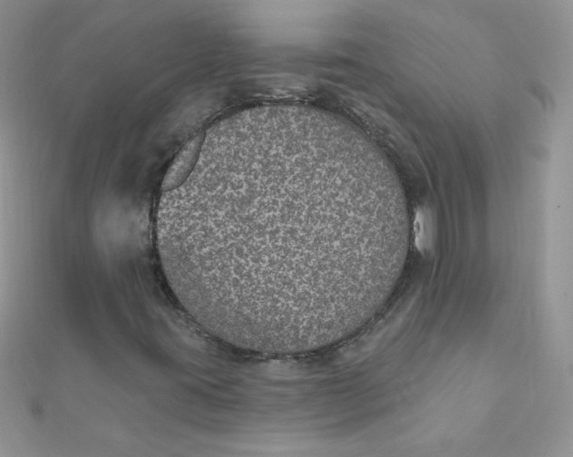 X0000112381395200909031942